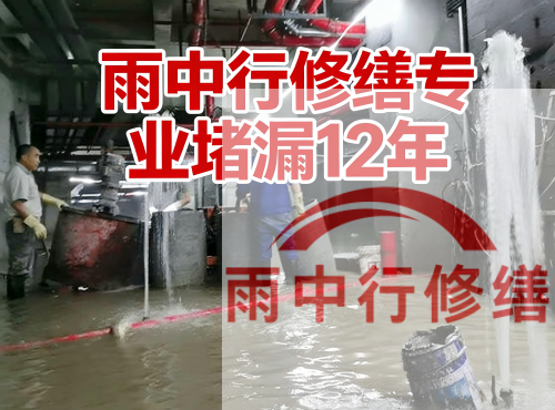 中国五矿某大型污水处理厂堵漏案例